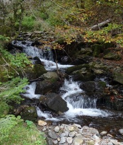 Lac d'Ourrec (9) 